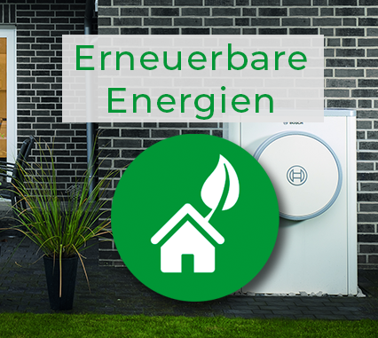 Fritz Schellhorn erneuerbare Energien