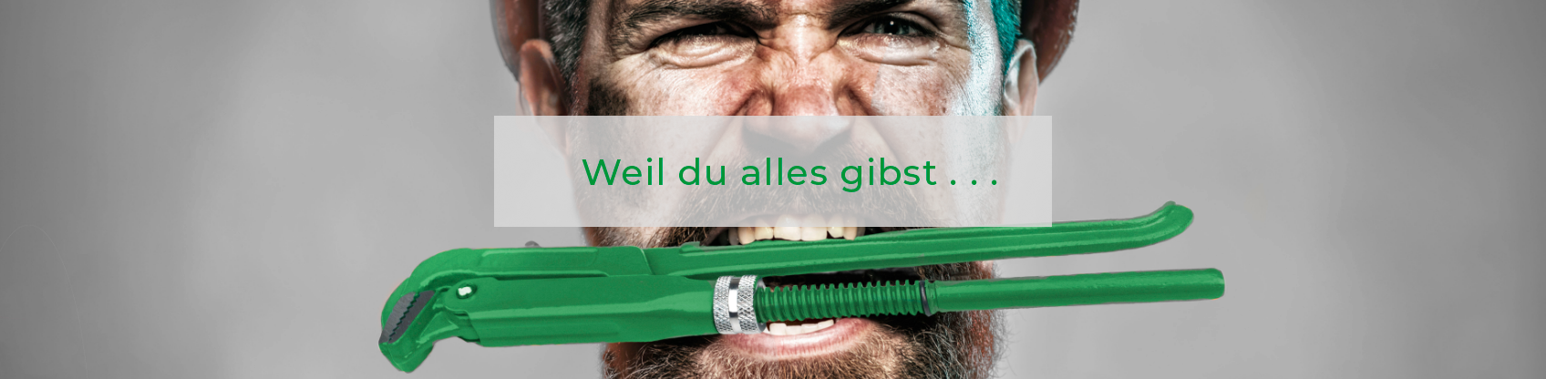 Karriere bei Schellhorn  GmbH